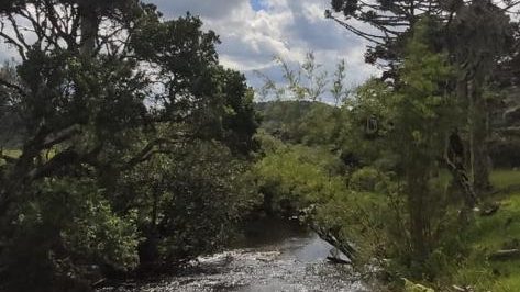 WhatsApp Image 2022-12-06 at 10.35.58 (1)